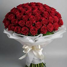Букет 101 Красная роза Блэк Мэджик в Курорт-Дарасун