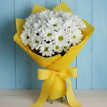 Букет цветов из:  Хризантемы в Курорт-Дарасун