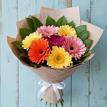 Букет цветов из:  Герберы #REPLACE_PRED# Курорт-Дарасун