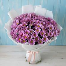 Букет цветов из:  Хризантемы в Курорт-Дарасун