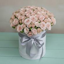 Цветочная композиция из Розы в шляпной коробке в Курорт-Дарасун