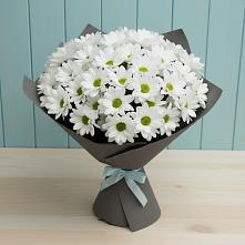 Букет цветов из:  Хризантемы в Курорт-Дарасун