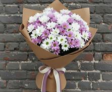 Букет цветов из:  Хризантемы в Курорт-Дарасун