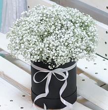 Цветочная композиция из Гипсофила в шляпной коробке #REPLACE_PRED# Курорт-Дарасун