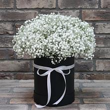 Цветочная композиция из Гипсофила в шляпной коробке #REPLACE_PRED# Курорт-Дарасун