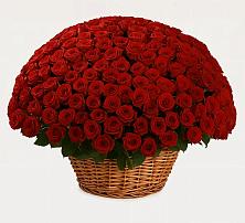 Премиум букет из: Розы в Курорт-Дарасун