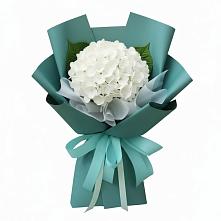 Букет цветов из:  Гортензия #REPLACE_PRED# Курорт-Дарасун